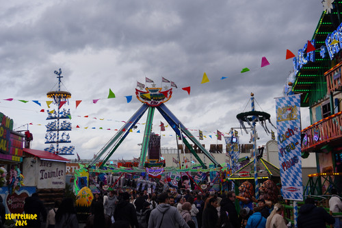 DSC08034 Watermarked.jpg