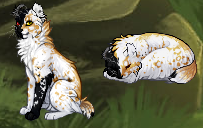 изображение 2026 04 08 175814389.png