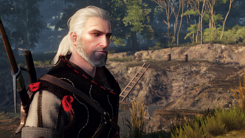 the witcher 3 wild hunt 43997503530 o.png