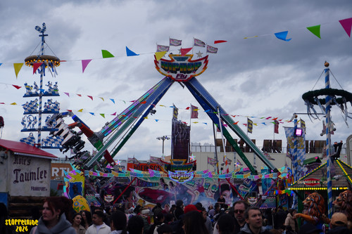 DSC08035 Watermarked.jpg