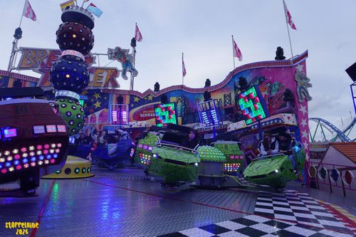 DSC08077 Watermarked.jpg