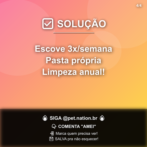 carousel 1775660411972 slide4.png