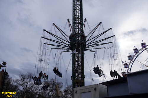 DSC08040 Watermarked.jpg