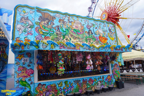 DSC08011 Watermarked.jpg