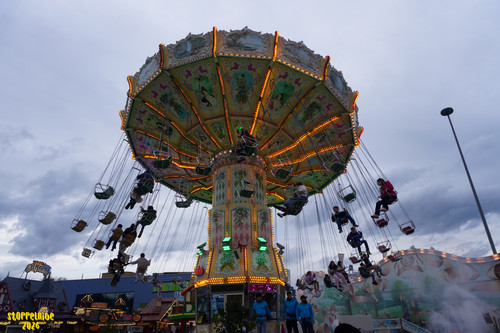 DSC08162 Watermarked.jpg