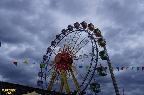 DSC08012 Watermarked.jpg