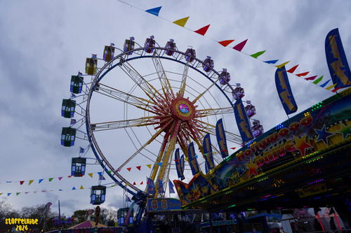 DSC08019 Watermarked.jpg