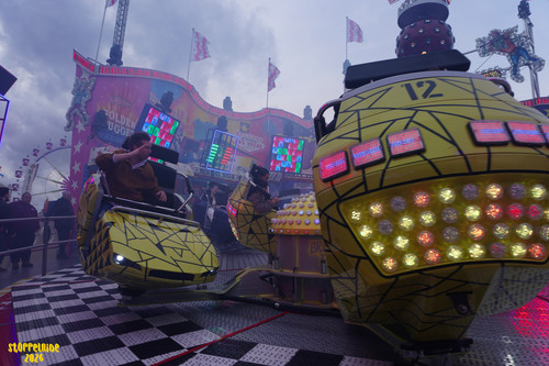 DSC08058 Watermarked.jpg