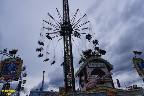 DSC08025 Watermarked.jpg