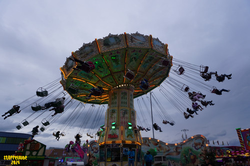 DSC08165 Watermarked.jpg