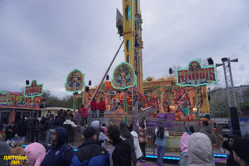 DSC08176 Watermarked.jpg