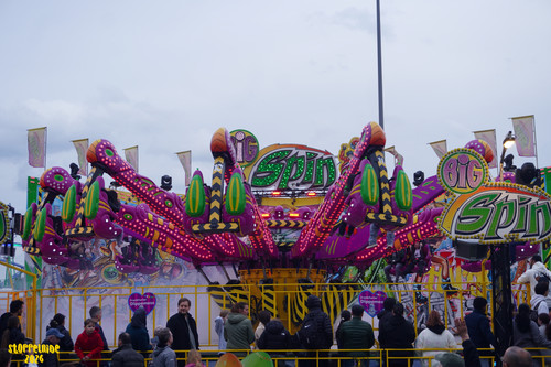 DSC08139 Watermarked.jpg