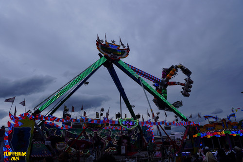 DSC08156 Watermarked.jpg