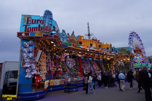 DSC08184 Watermarked.jpg