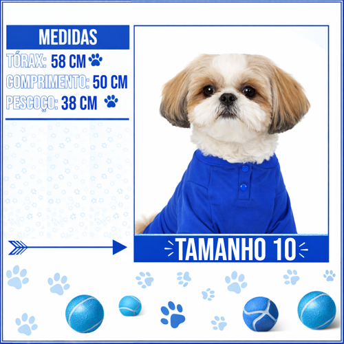 CAMISA MEDIDAS TAM 10.png