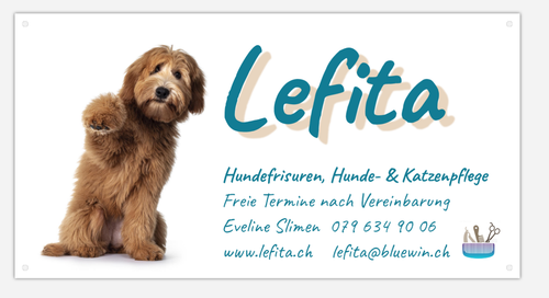 Screenshot 2026 04 08 150851.png