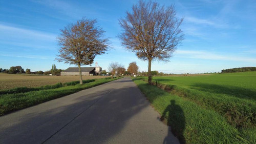 asset c738d16f55c77357cf6445df867e1233.jpg