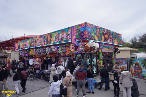 DSC08193 Watermarked.jpg