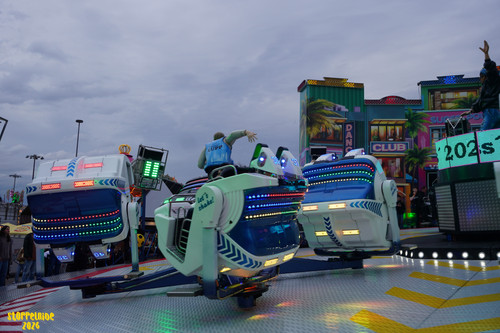 DSC08203 Watermarked.jpg