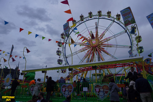 DSC08253 Watermarked.jpg