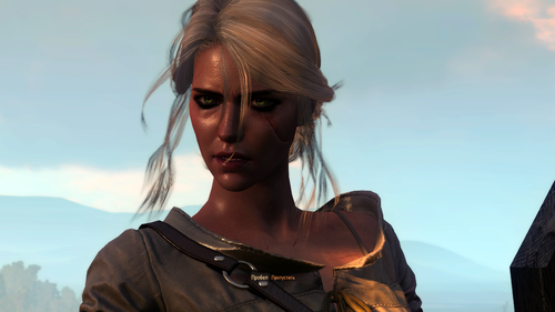 the witcher 3 wild hunt 43997503910 o.png