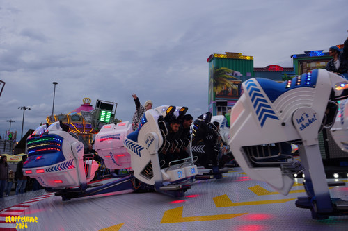 DSC08205 Watermarked.jpg