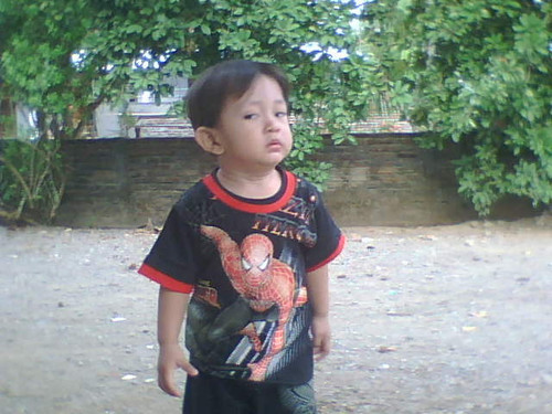 WhatsApp Image 2026 04 08 at 22.07.46.jpg