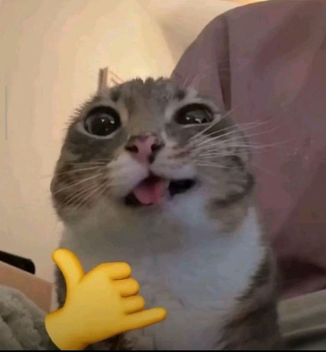 загруженное (1).jpg