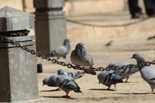 diyagram sanlurfa 8993208 1920.jpg