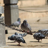 diyagram sanlurfa 8993208 1920