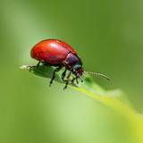 erik karits nature 10103336 1280