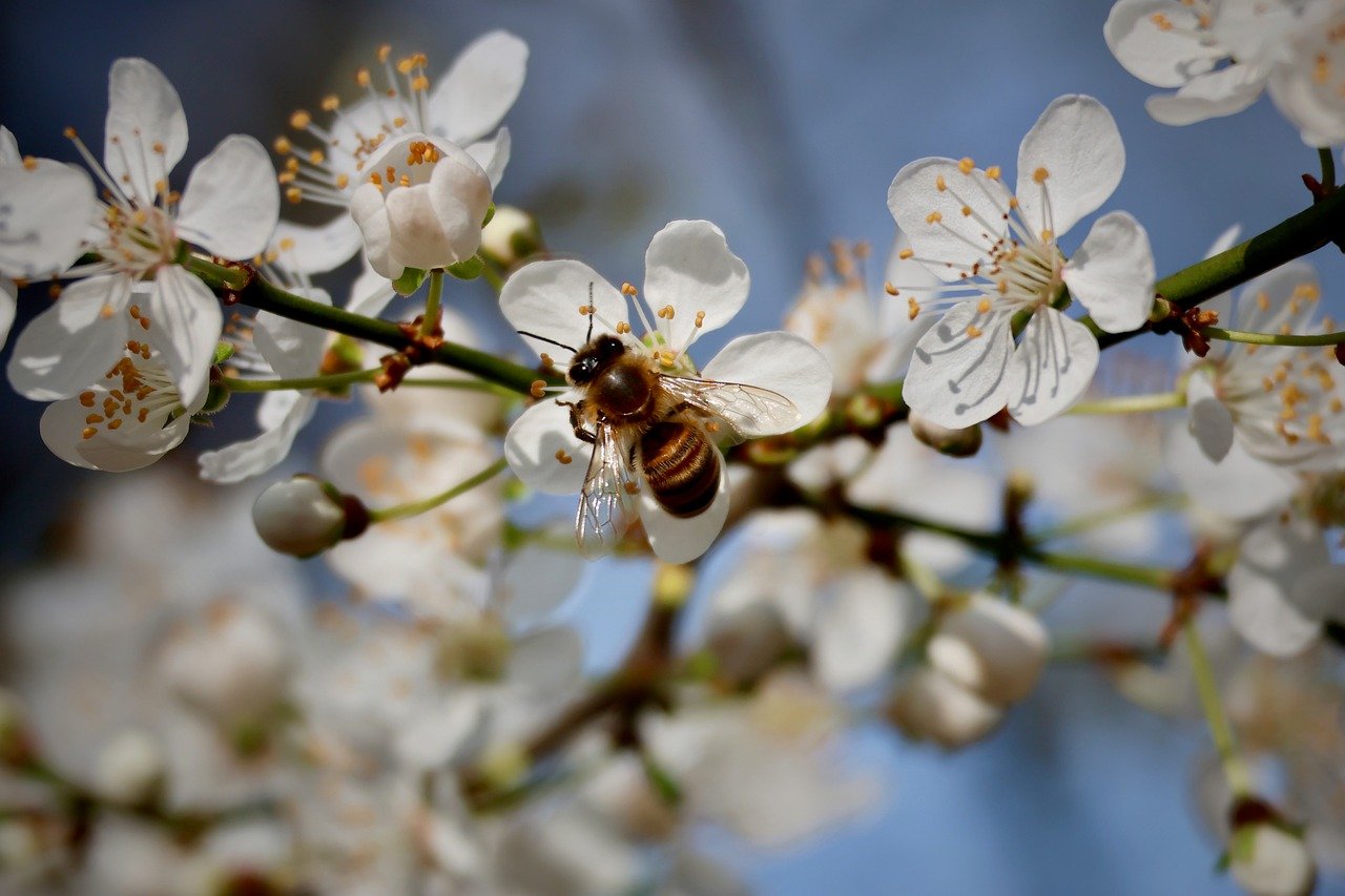 [Resim: BcOQTAu.jpg]