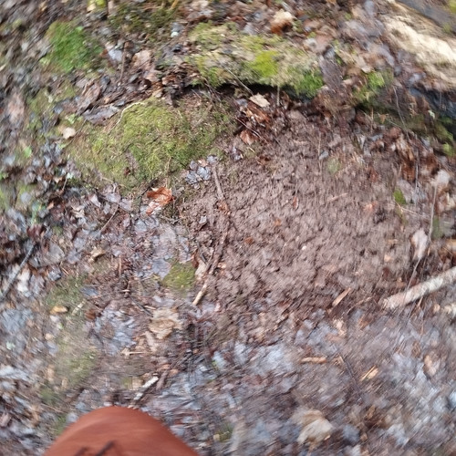 4d0556e7 5a34 4cae 937a 889eed9004cd 1 all 32342.jpg