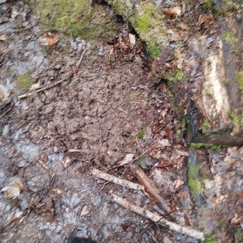 4d0556e7 5a34 4cae 937a 889eed9004cd 1 all 32345.jpg