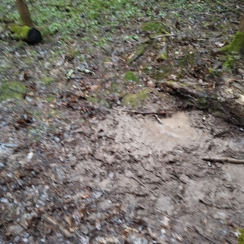 4d0556e7 5a34 4cae 937a 889eed9004cd 1 all 32339.jpg