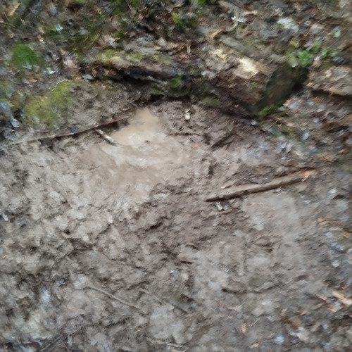 4d0556e7 5a34 4cae 937a 889eed9004cd 1 all 32340.jpg