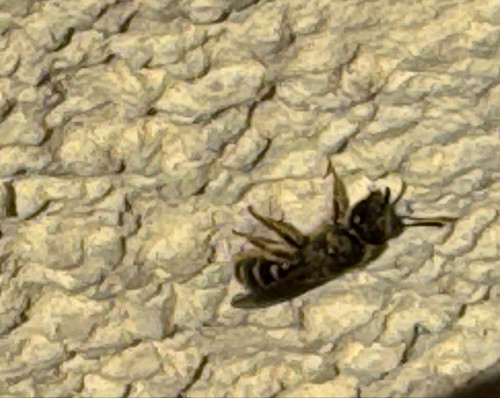 HFY8uIxaUAA4Aj ?format=jpg.jpg