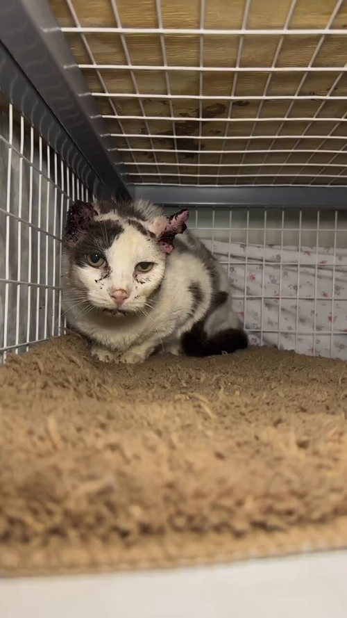 ErAbtT K ulT1u52.jpg