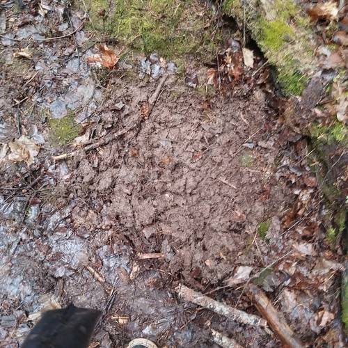 4d0556e7 5a34 4cae 937a 889eed9004cd 1 all 32344.jpg