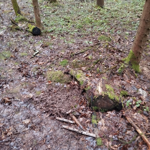 4d0556e7 5a34 4cae 937a 889eed9004cd 1 all 32343.jpg