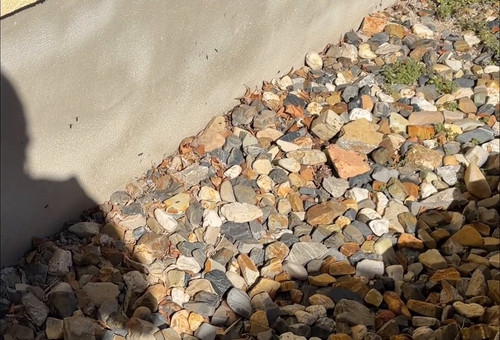 EsJ40gimIFjusX m.jpg