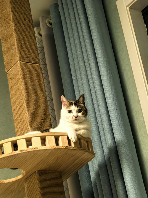 IMG 20260403 185750.jpg