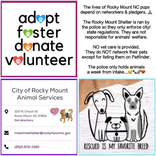 HD Mw5HbMAALDk8?format=jpg.jpg