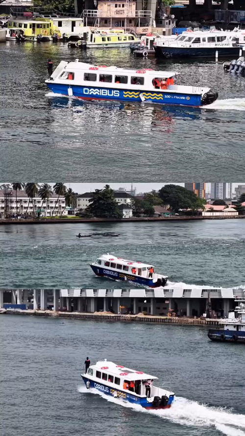 jj6jnjcXkouffI 6.jpg