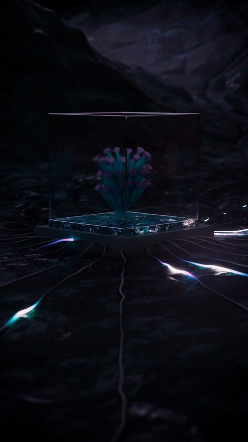 XFk4GwWOYK EFRyo.jpg