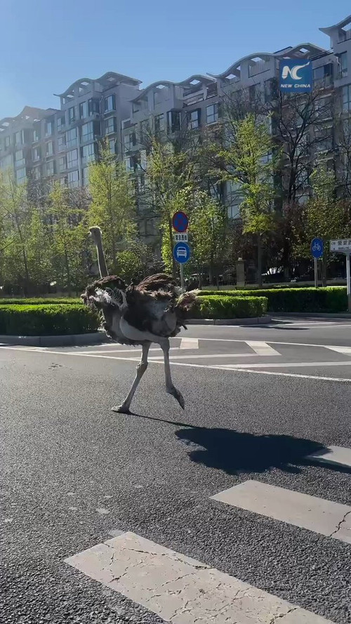 O5GY6 AqFymzLY86.jpg