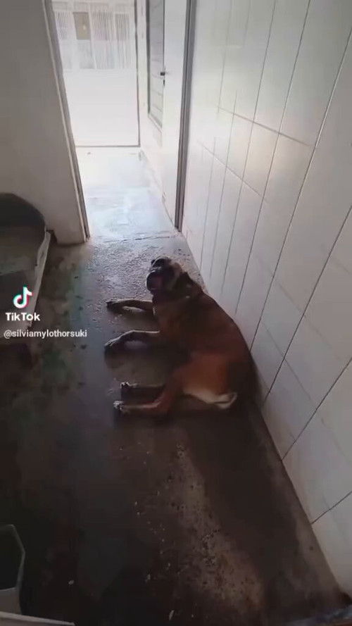 HCUv9gjuVY5EbAb .jpg