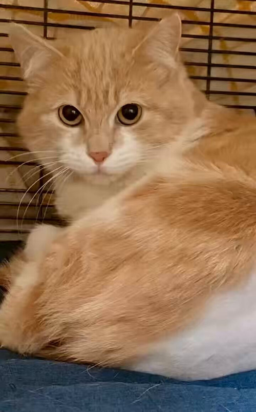 JZM8KCw 3HCuDjKO.jpg