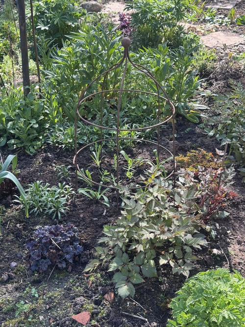 HFYi5Q5a8AAf Du?format=jpg.jpg