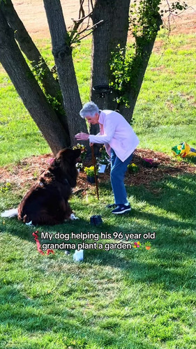 DtnH3saWEz9yL Zj.jpg